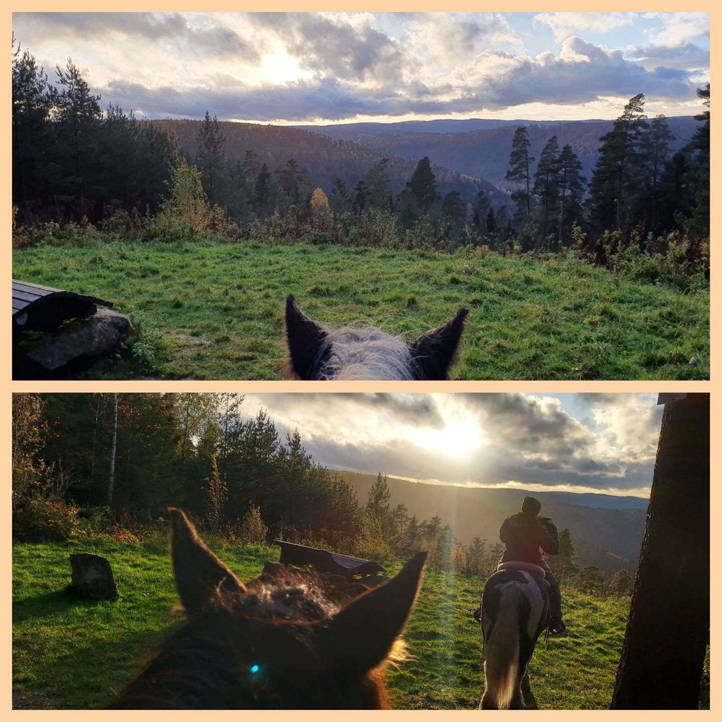 2023 11 November 607